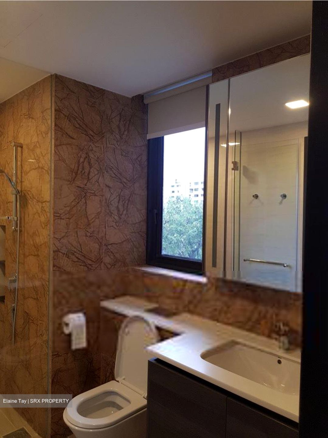 Sims Urban Oasis (D14), Condominium #454874321